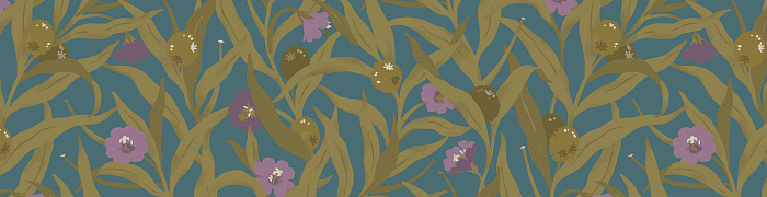 Willow-herb Als3 018