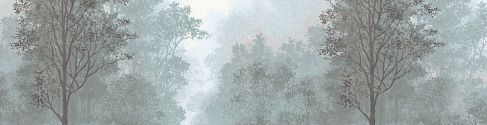 ART8  006