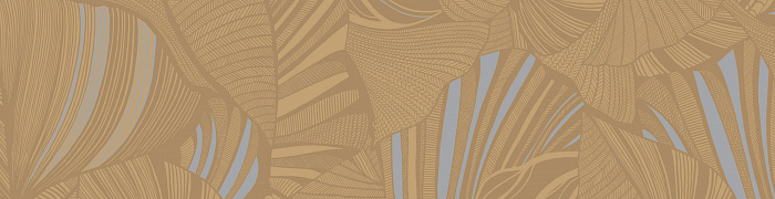 Monstera Ins5 004