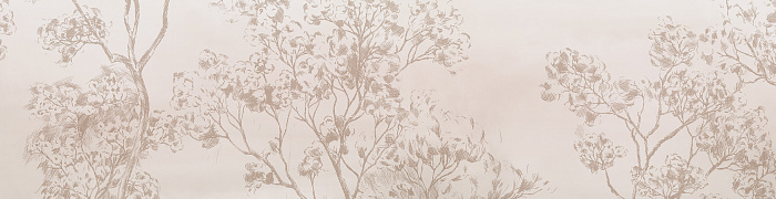 NP14C  004
