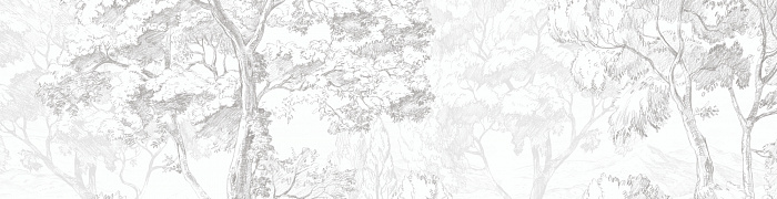 Sketch ETD9 001