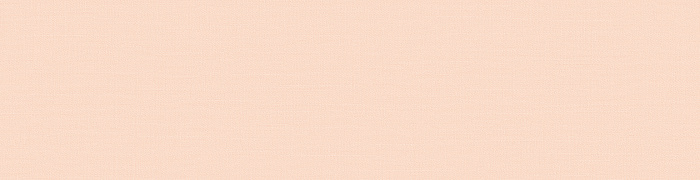 NP10  007