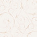 SW4 002