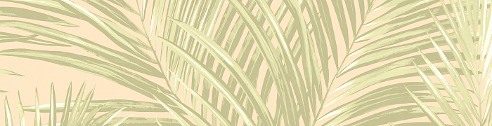 Palm Ins3 005