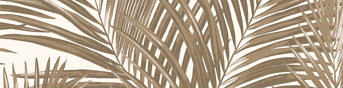 Palm Ins3 001/2